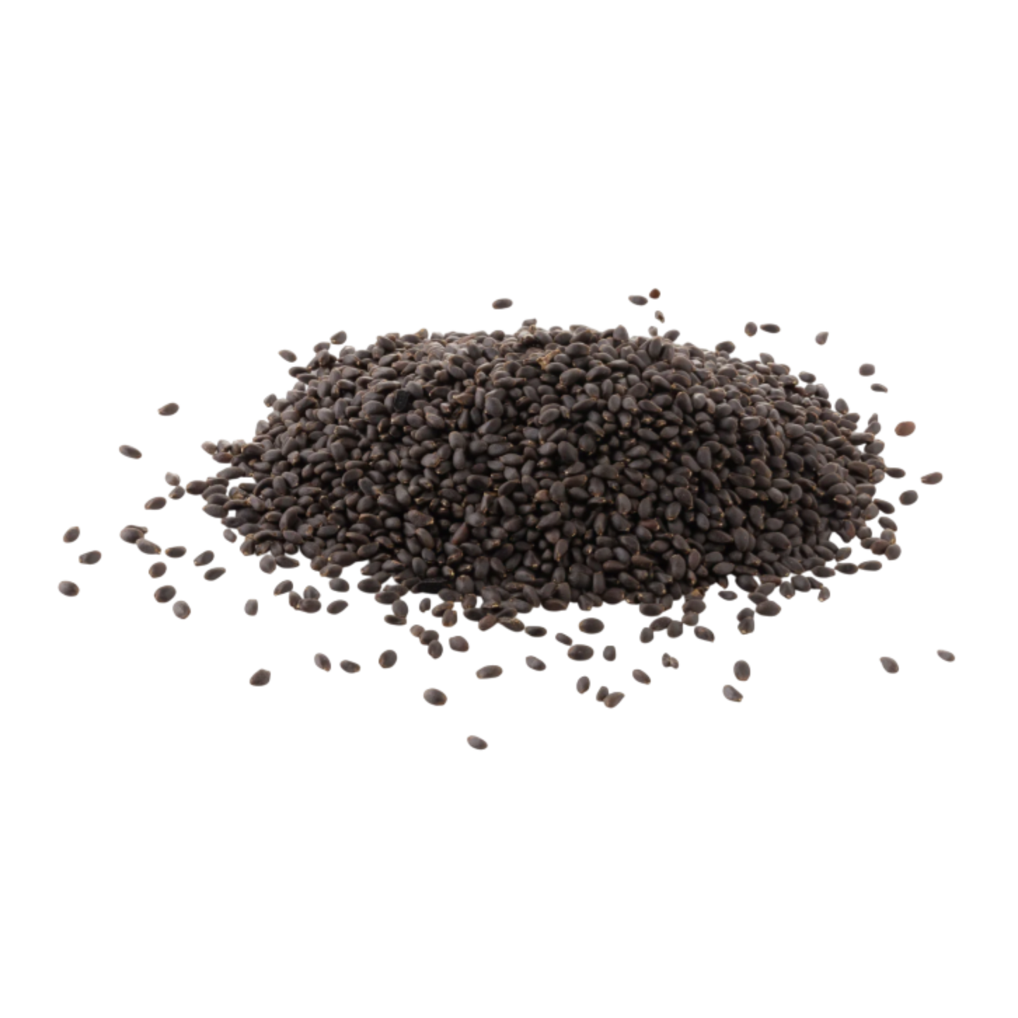 Bulk basil seeds packaging for wholesalers and exporters