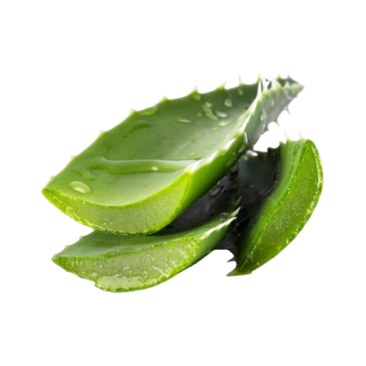 Bulk Aloe Vera Powder for Manufacturing and Cosmetic Use