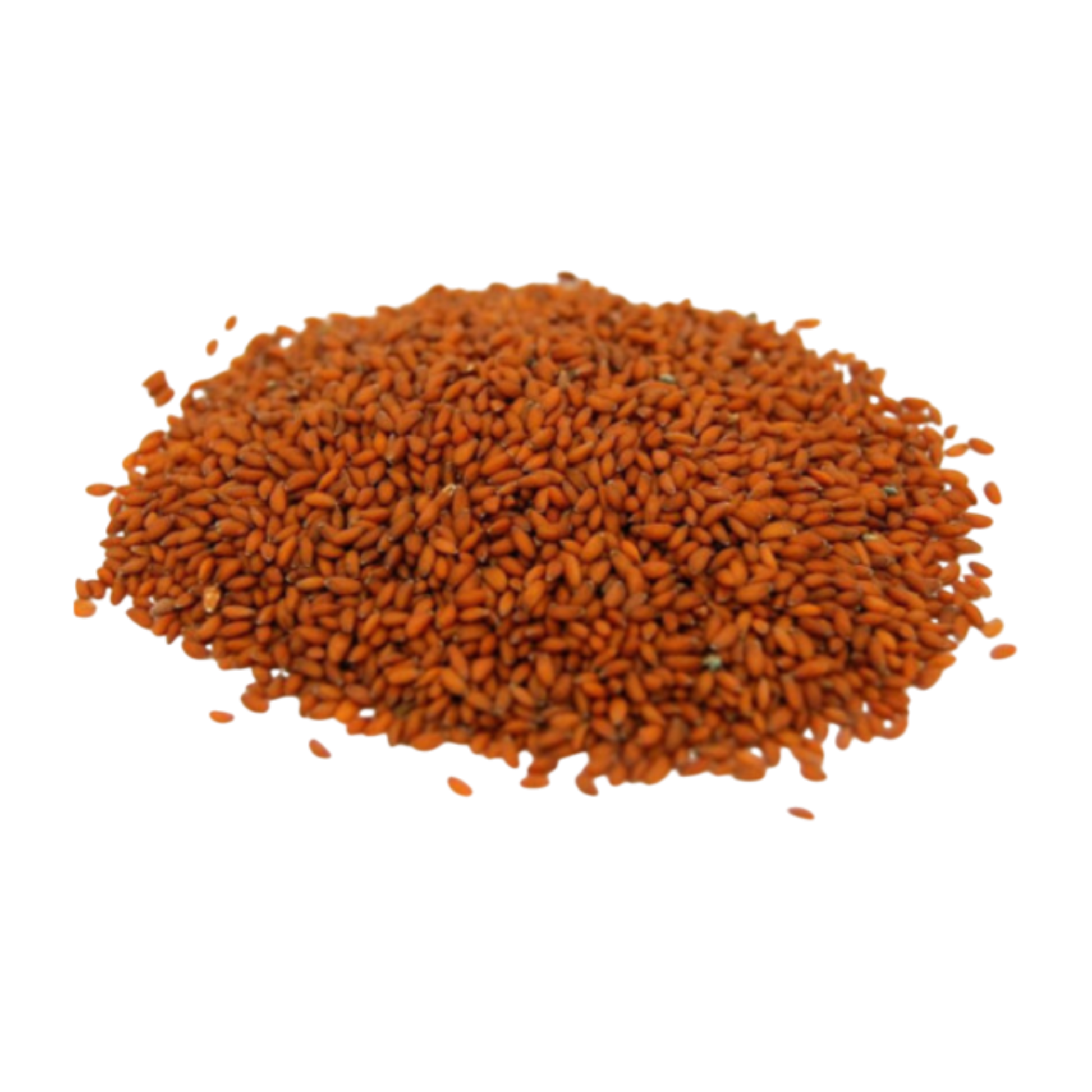 Asaliya Seeds in food-grade packaging by Spice Nest