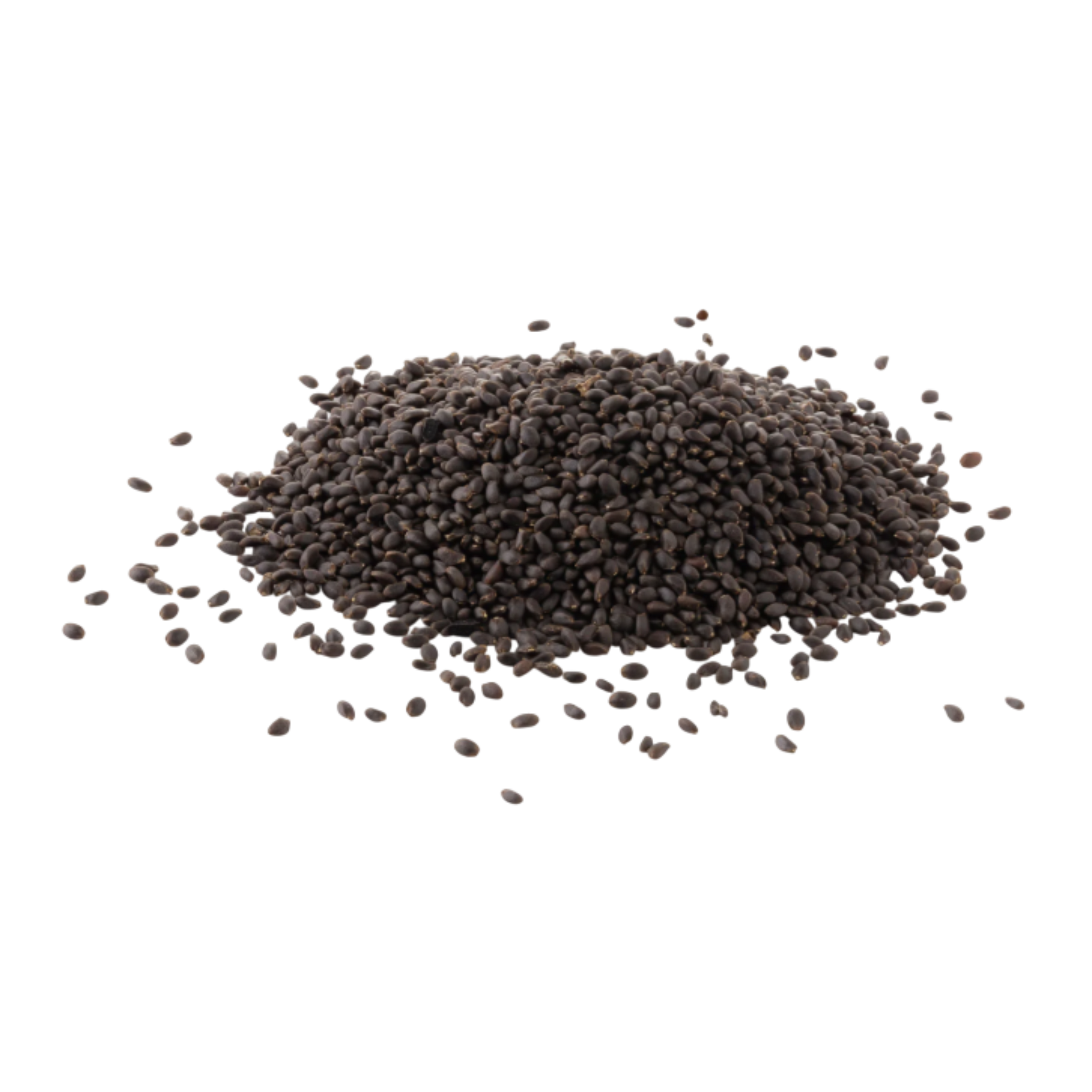 Bulk basil seeds packaging for wholesalers and exporters