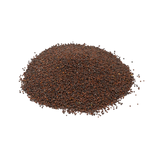 Black mustard seeds wholesale bulk lot