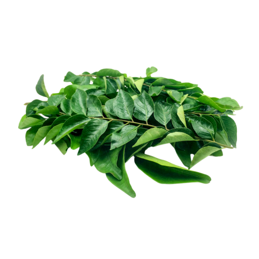 Premium curry leaves manufacturer and exporter from India