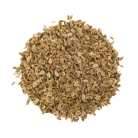Premium Indian Dill seeds manufacturer Spice Nest