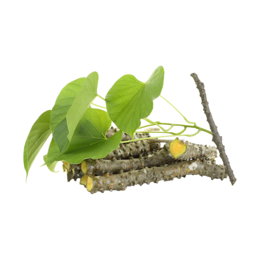 Giloy root powder wholesale supplier