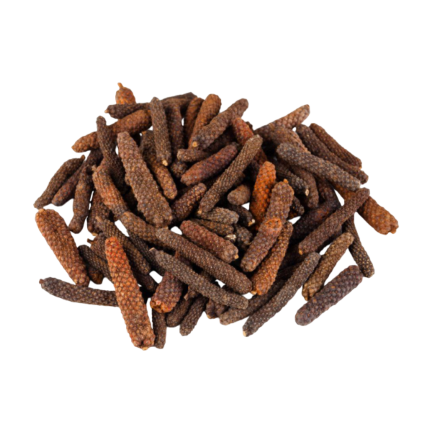 High-quality long pepper powder in bulk, perfect for export and B2B customers.