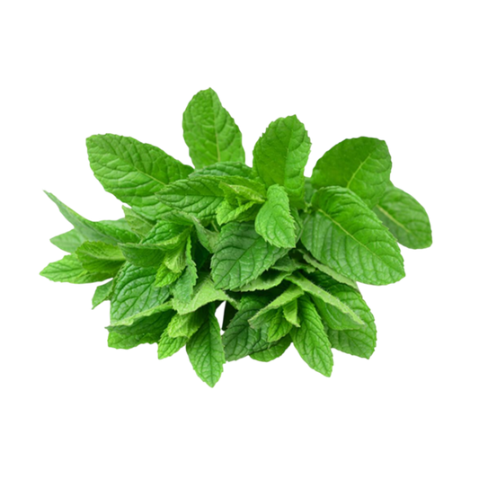 Bulk packaging of dried mint leaves, perfect for wholesale suppliers and manufacturers.