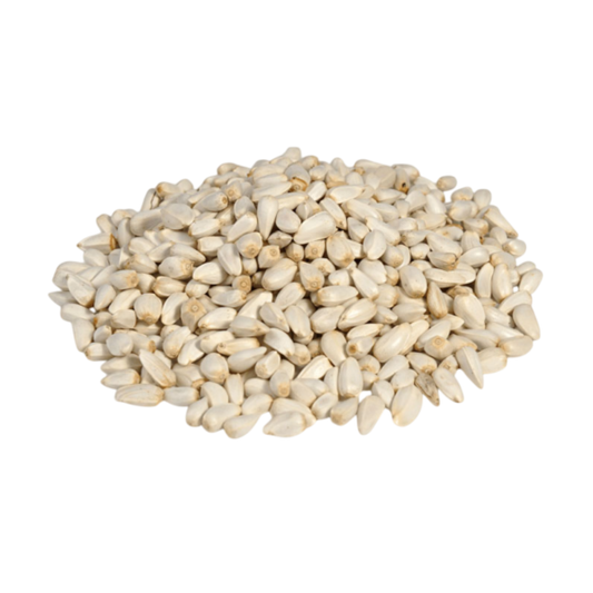 Safflower seeds bulk packaging for wholesalers and exporters