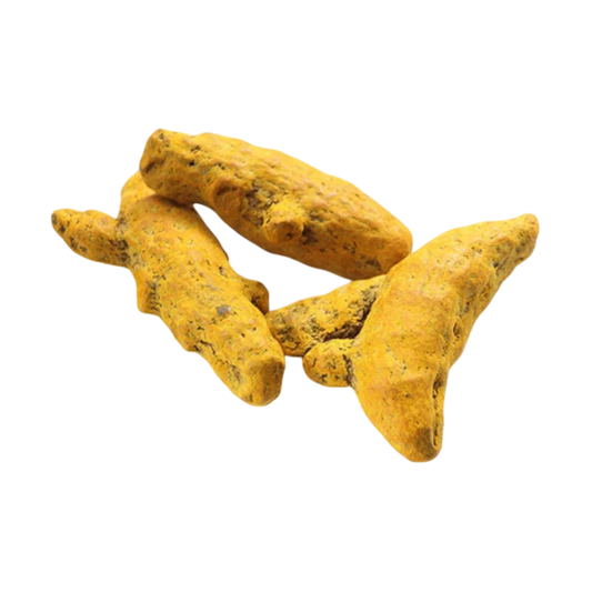 Premium turmeric finger from Spice Nest
