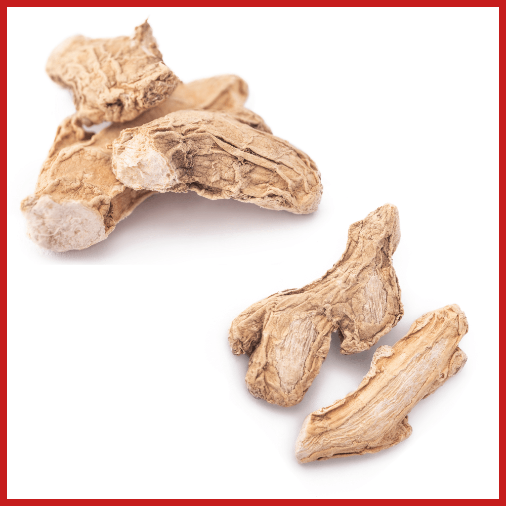 dry ginger exporter from india