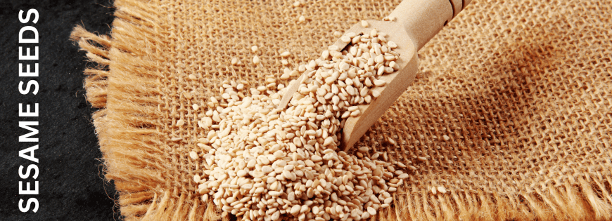 sesame seed exporters