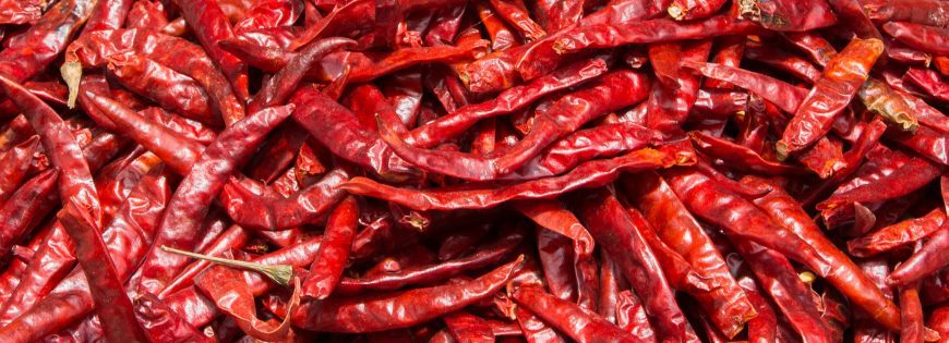 Red Chilli Exporters