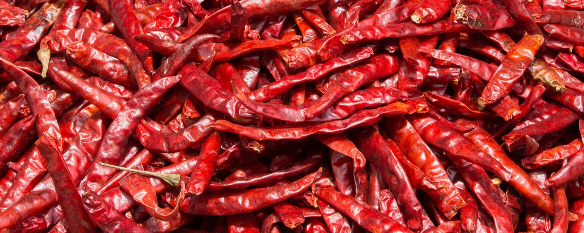 Red Chilli Exporters