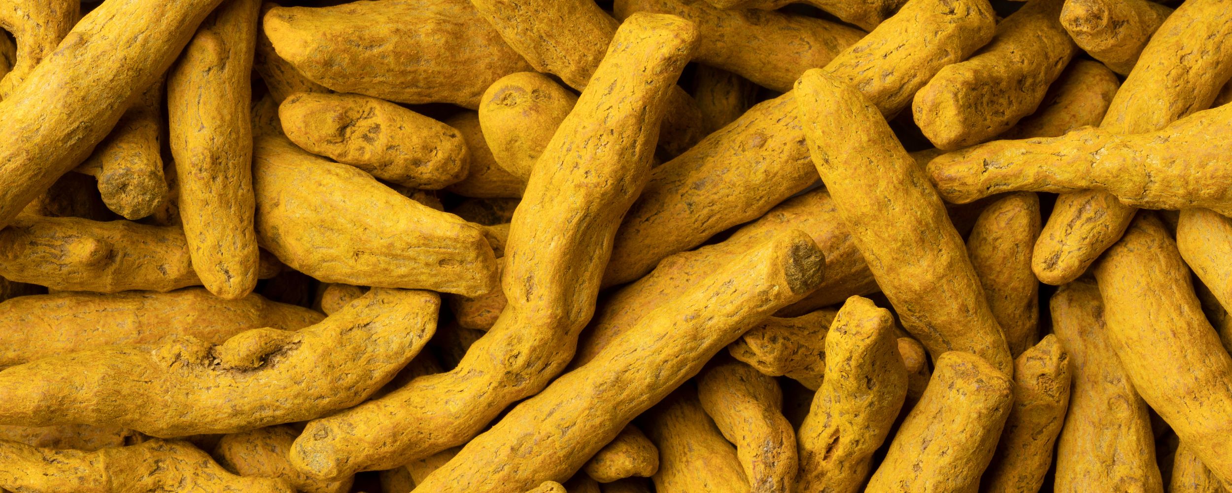 Turmeric Finger Manufacturers, Suppliers & Exporters From India